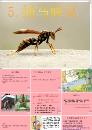 五年级语文上册 第二单元 捅马蜂窝课件3 西师大版-西师大版小学五年级上册语文课件
