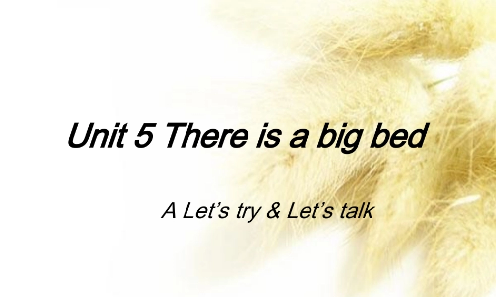 五年级英语上册 Unit5 There is a big bed Part A Let’s try Let’s talk课件 人教PEP-人教PEP小学五年级上册英语课件