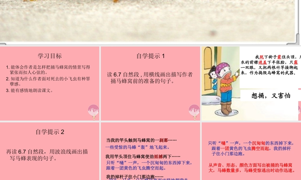 五年级语文上册 第二单元 捅马蜂窝课件4 西师大版-西师大版小学五年级上册语文课件