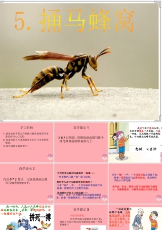 五年级语文上册 第二单元 捅马蜂窝课件4 西师大版-西师大版小学五年级上册语文课件