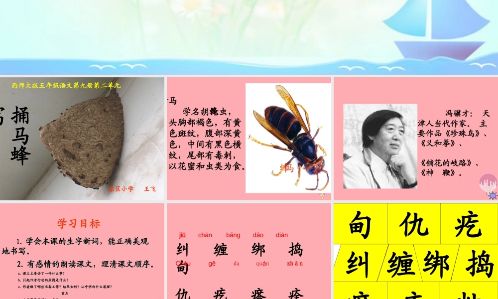 五年级语文上册 第二单元 捅马蜂窝课件5 西师大版-西师大版小学五年级上册语文课件