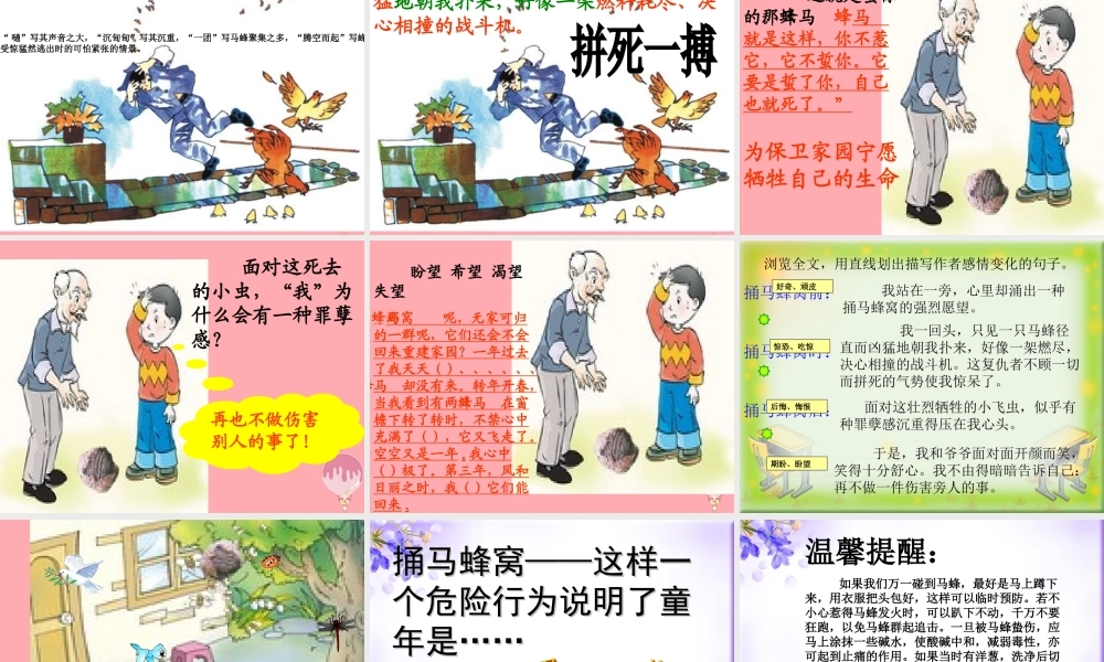 五年级语文上册 第二单元 捅马蜂窝课件5 西师大版-西师大版小学五年级上册语文课件