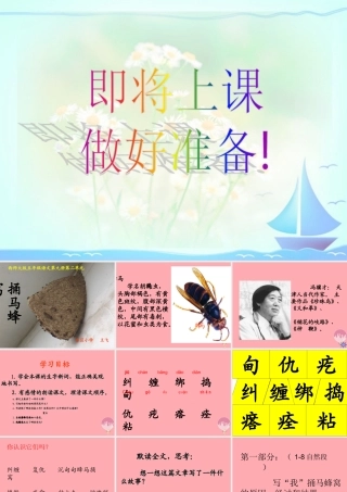 五年级语文上册 第二单元 捅马蜂窝课件5 西师大版-西师大版小学五年级上册语文课件