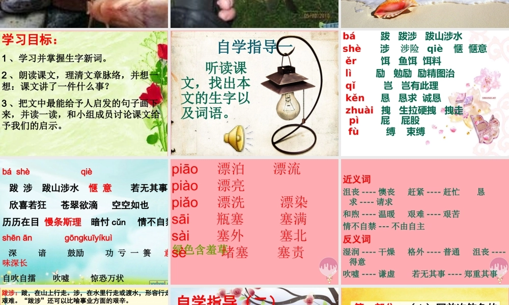 五年级语文上册 第二单元 我没有钓到那条鱼课件2 西师大版-西师大版小学五年级上册语文课件