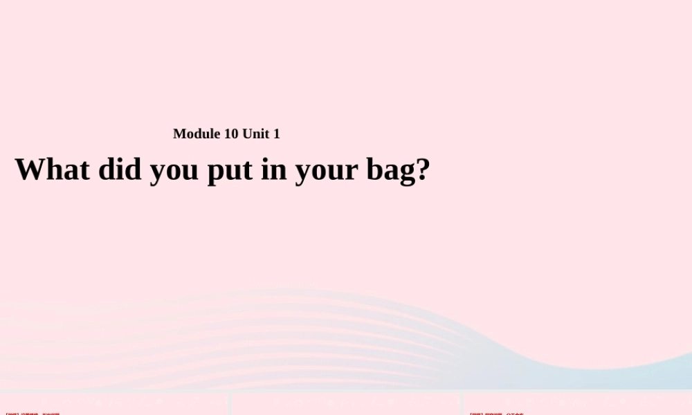 五年级英语下册 Module 10 unit 1 what did you put in your bag课件2 外研版（一起）-外研版小学五年级下册英语课件