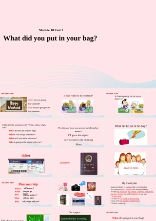 五年级英语下册 Module 10 unit 1 what did you put in your bag课件2 外研版（一起）-外研版小学五年级下册英语课件