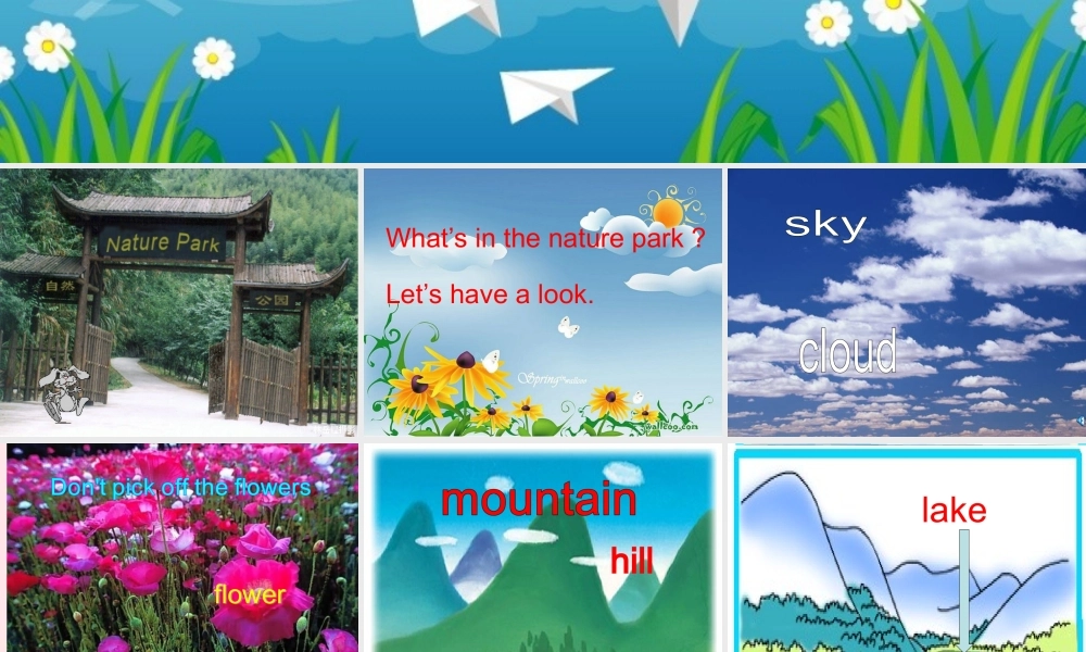 五年级英语上册 Unit6 In a nature park Part A Lets learn课件 人教PEP-人教PEP小学五年级上册英语课件