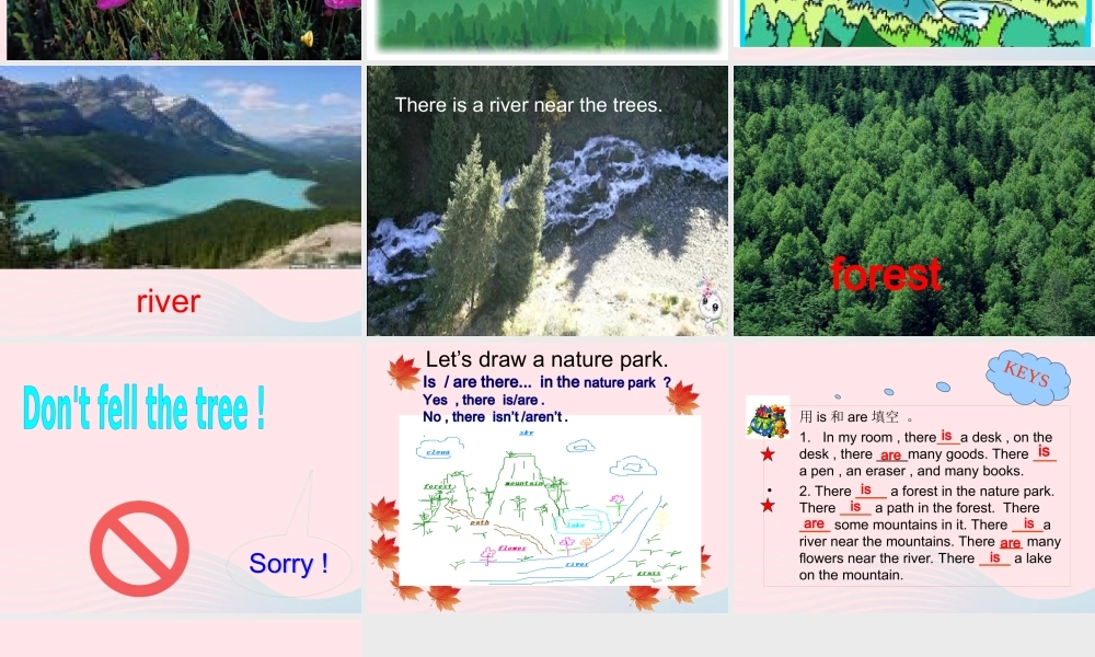 五年级英语上册 Unit6 In a nature park Part A Lets learn课件 人教PEP-人教PEP小学五年级上册英语课件