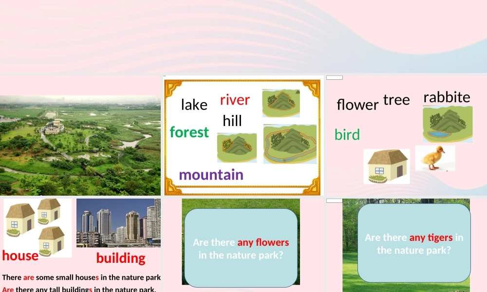 五年级英语上册 Unit6 In a nature park Part B lets talk课件 人教PEP-人教PEP小学五年级上册英语课件