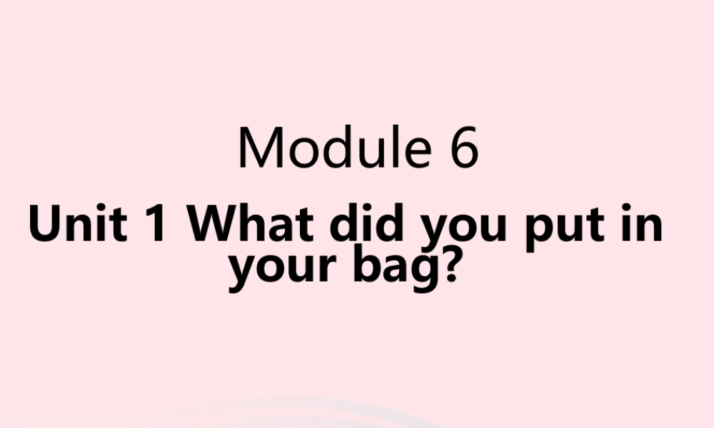 五年级英语下册 Module 10 unit 1 what did you put in your bag课件3 外研版（一起）-外研版小学五年级下册英语课件