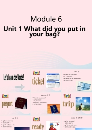 五年级英语下册 Module 10 unit 1 what did you put in your bag课件3 外研版（一起）-外研版小学五年级下册英语课件