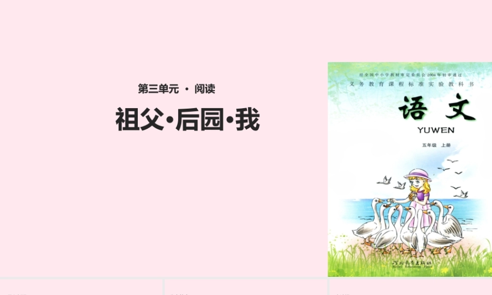 五年级语文上册 第三单元 13《祖父 后园 我》教学课件 冀教版-冀教版小学五年级上册语文课件