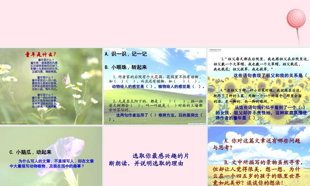 五年级语文上册 第三单元 13《祖父 后园 我》课件 冀教版-冀教版小学五年级上册语文课件