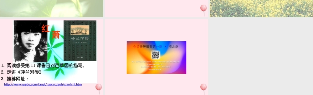 五年级语文上册 第三单元 13《祖父 后园 我》课件 冀教版-冀教版小学五年级上册语文课件