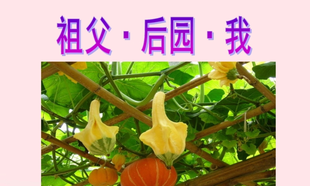 五年级语文上册 第三单元 13《祖父 后园 我》名优课件 冀教版-冀教版小学五年级上册语文课件