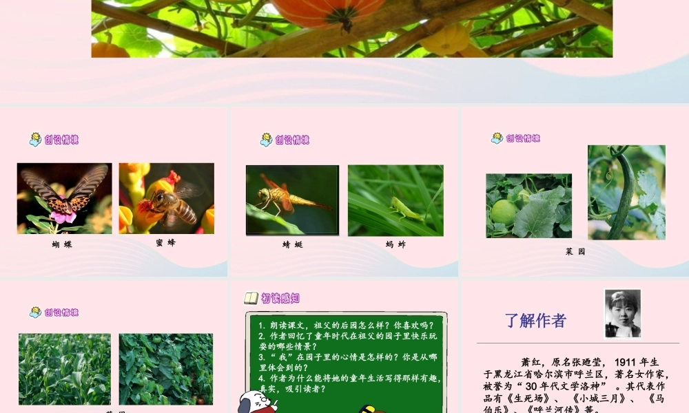 五年级语文上册 第三单元 13《祖父 后园 我》名优课件 冀教版-冀教版小学五年级上册语文课件