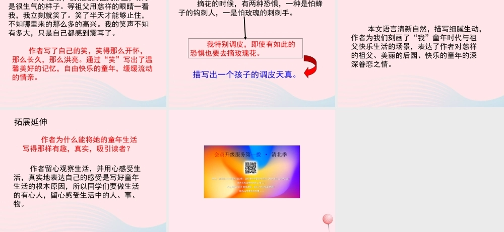 五年级语文上册 第三单元 13《祖父 后园 我》培优课件 冀教版-冀教版小学五年级上册语文课件