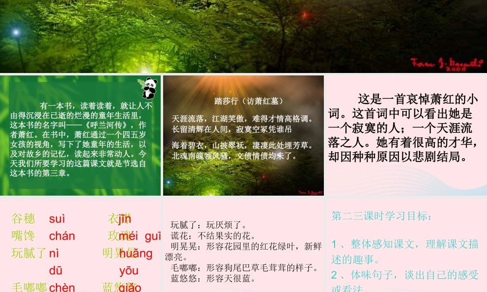 五年级语文上册 第三单元 13《祖父 后园 我》推荐课件 冀教版-冀教版小学五年级上册语文课件