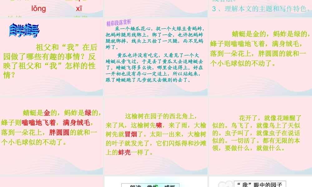 五年级语文上册 第三单元 13《祖父 后园 我》推荐课件 冀教版-冀教版小学五年级上册语文课件