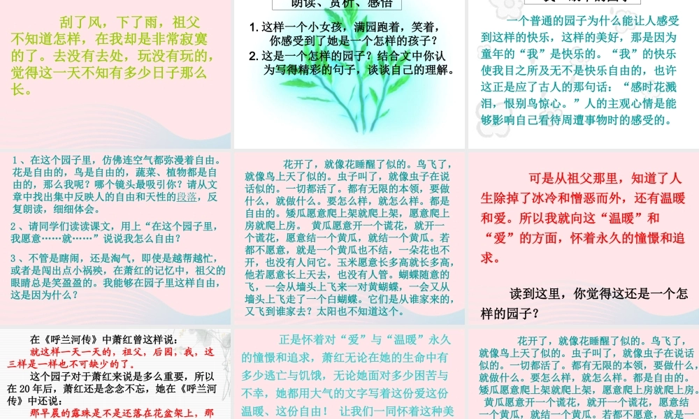 五年级语文上册 第三单元 13《祖父 后园 我》推荐课件 冀教版-冀教版小学五年级上册语文课件