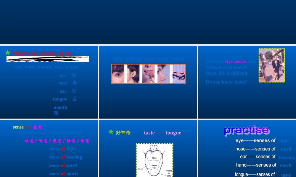 五年级英语下册 MODULE1 unit4课件 沪教牛津版
