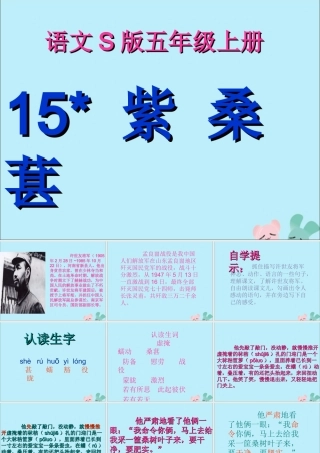 五年级语文上册 第三单元 15 紫桑葚教学课件 语文S版-语文S版小学五年级上册语文课件