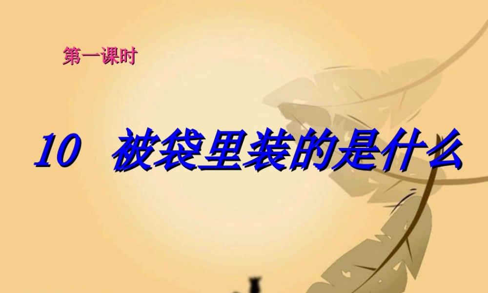 五年级语文上册 第三单元 被袋里装的是什么课件1 鄂教版-鄂教版小学五年级上册语文课件