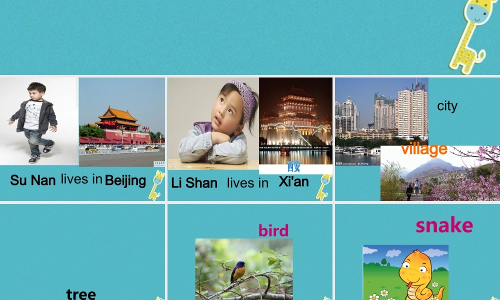 五年级英语下册 unit 4 he lives in a village课件1 陕旅版-陕旅版小学五年级下册英语课件