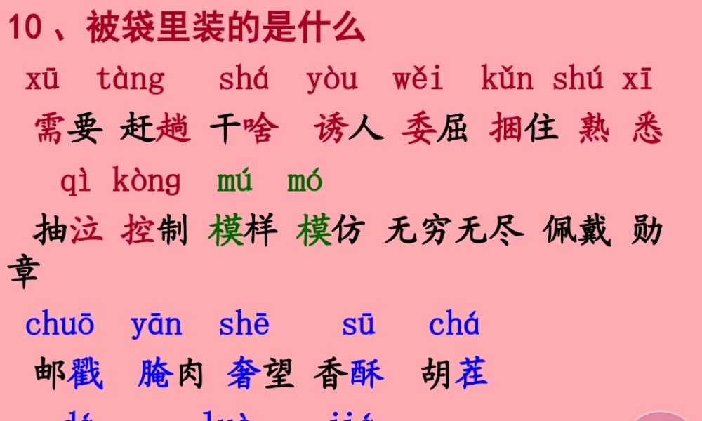 五年级语文上册 第三单元 被袋里装的是什么课件2 鄂教版-鄂教版小学五年级上册语文课件