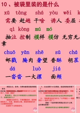 五年级语文上册 第三单元 被袋里装的是什么课件2 鄂教版-鄂教版小学五年级上册语文课件