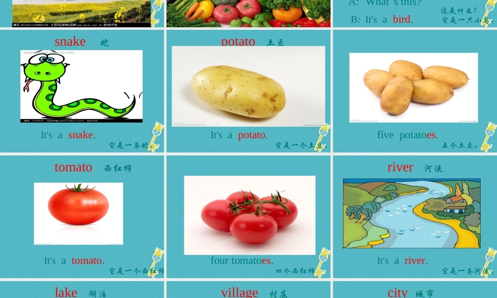 五年级英语下册 unit 4 he lives in a village课件2 陕旅版-陕旅版小学五年级下册英语课件