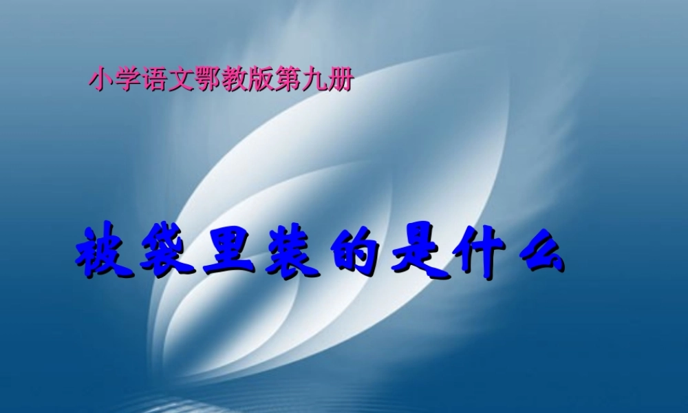 五年级语文上册 第三单元 被袋里装的是什么课件3 鄂教版-鄂教版小学五年级上册语文课件