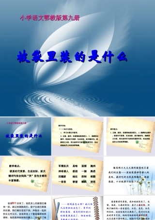 五年级语文上册 第三单元 被袋里装的是什么课件3 鄂教版-鄂教版小学五年级上册语文课件