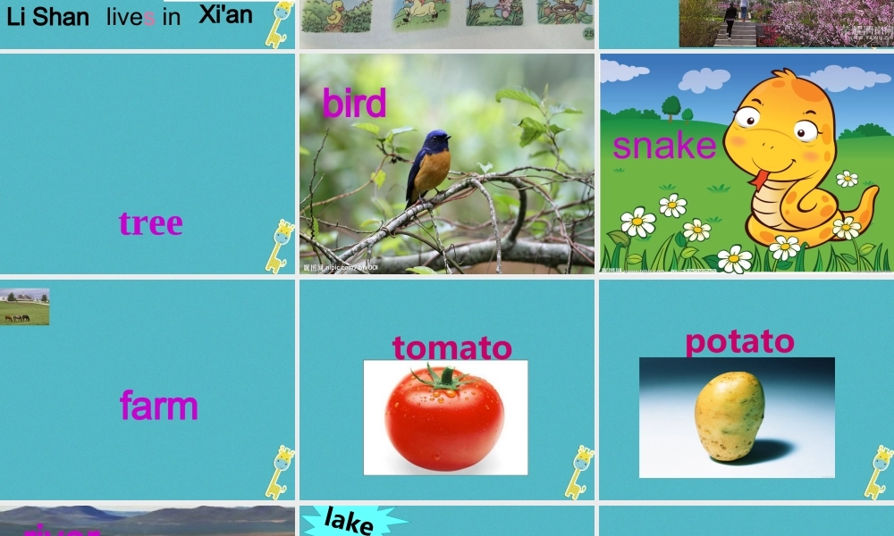 五年级英语下册 unit 4 he lives in a village课件3 陕旅版-陕旅版小学五年级下册英语课件