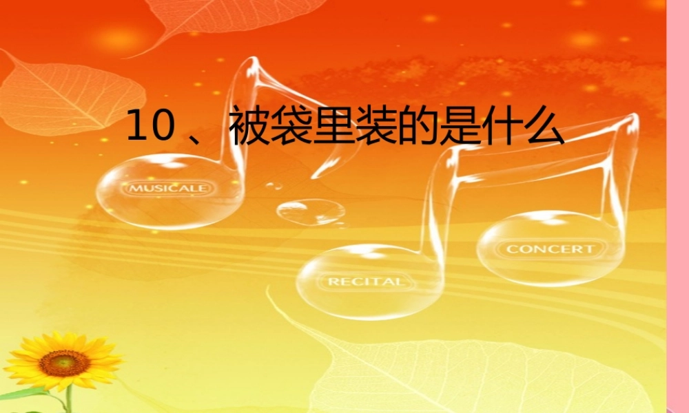 五年级语文上册 第三单元 被袋里装的是什么课件4 鄂教版-鄂教版小学五年级上册语文课件