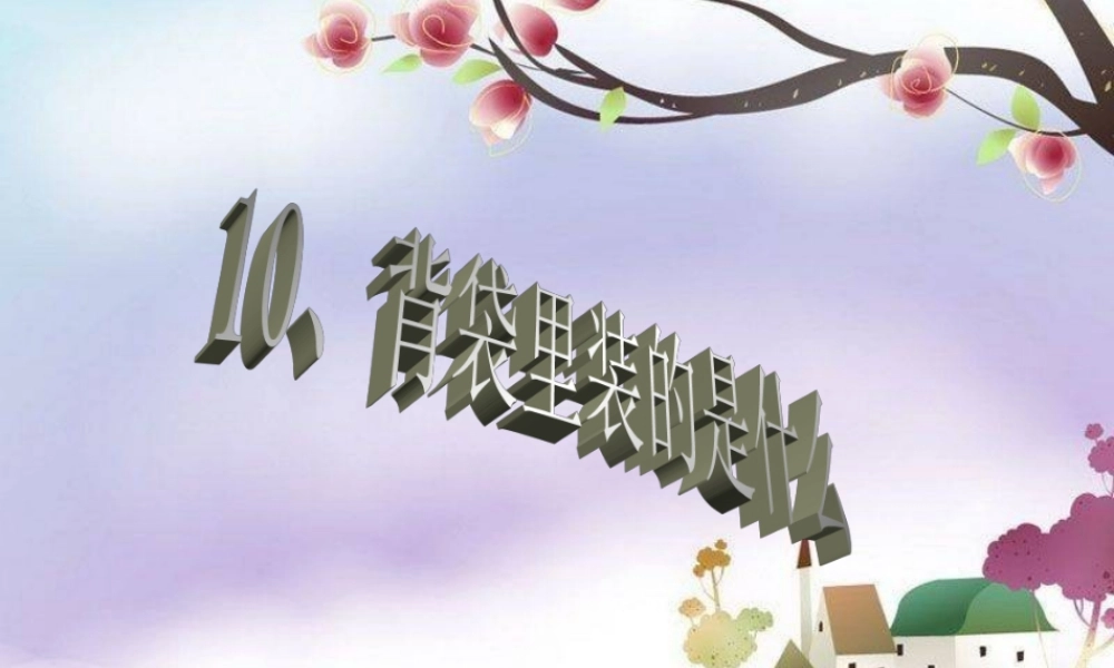 五年级语文上册 第三单元 被袋里装的是什么课件5 鄂教版-鄂教版小学五年级上册语文课件