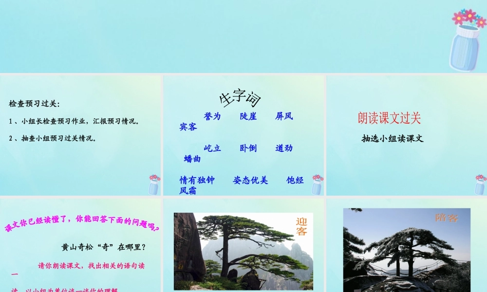 五年级语文上册 第五单元 16 黄山奇松教学课件 苏教版-苏教版小学五年级上册语文课件