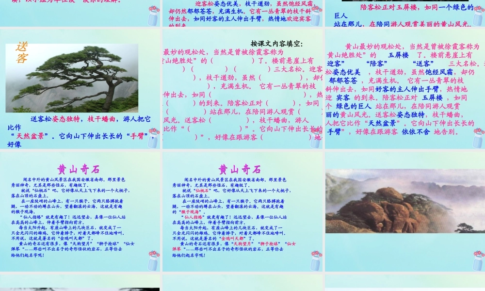 五年级语文上册 第五单元 16 黄山奇松教学课件 苏教版-苏教版小学五年级上册语文课件