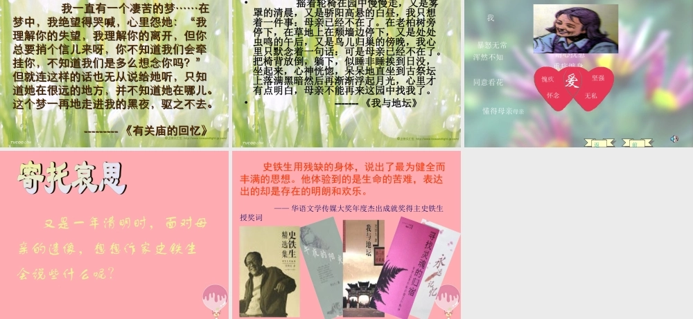 五年级语文上册 第三单元 秋天的怀念课件1 鄂教版-鄂教版小学五年级上册语文课件