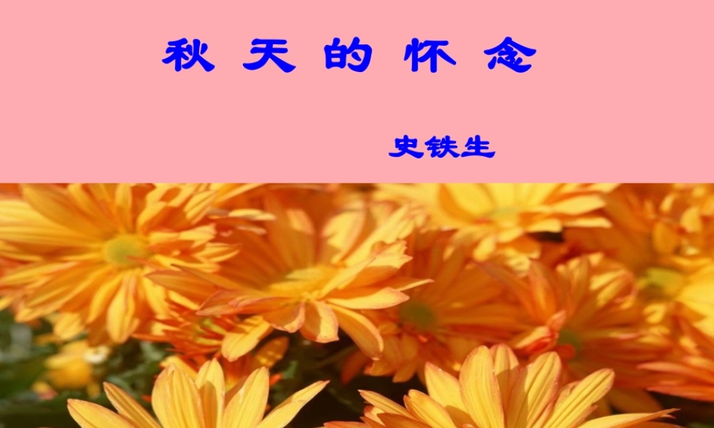 五年级语文上册 第三单元 秋天的怀念课件2 鄂教版-鄂教版小学五年级上册语文课件