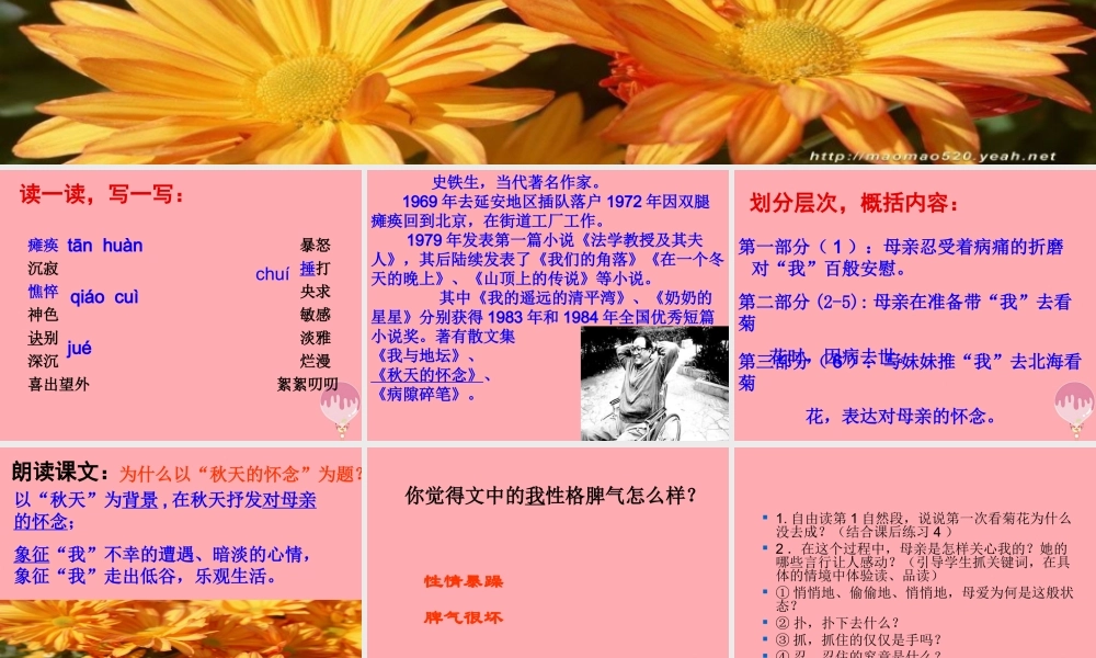 五年级语文上册 第三单元 秋天的怀念课件2 鄂教版-鄂教版小学五年级上册语文课件