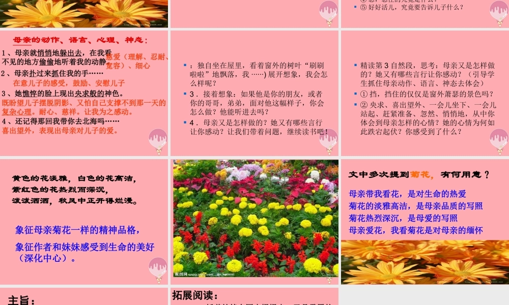 五年级语文上册 第三单元 秋天的怀念课件2 鄂教版-鄂教版小学五年级上册语文课件