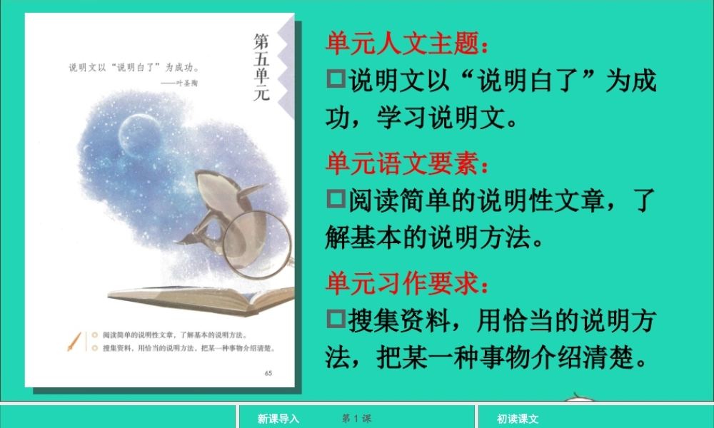 五年级语文上册 第五单元 16 太阳课件