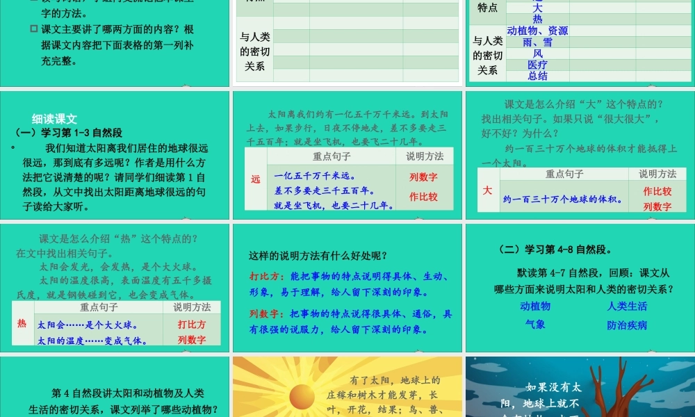 五年级语文上册 第五单元 16《太阳》课件