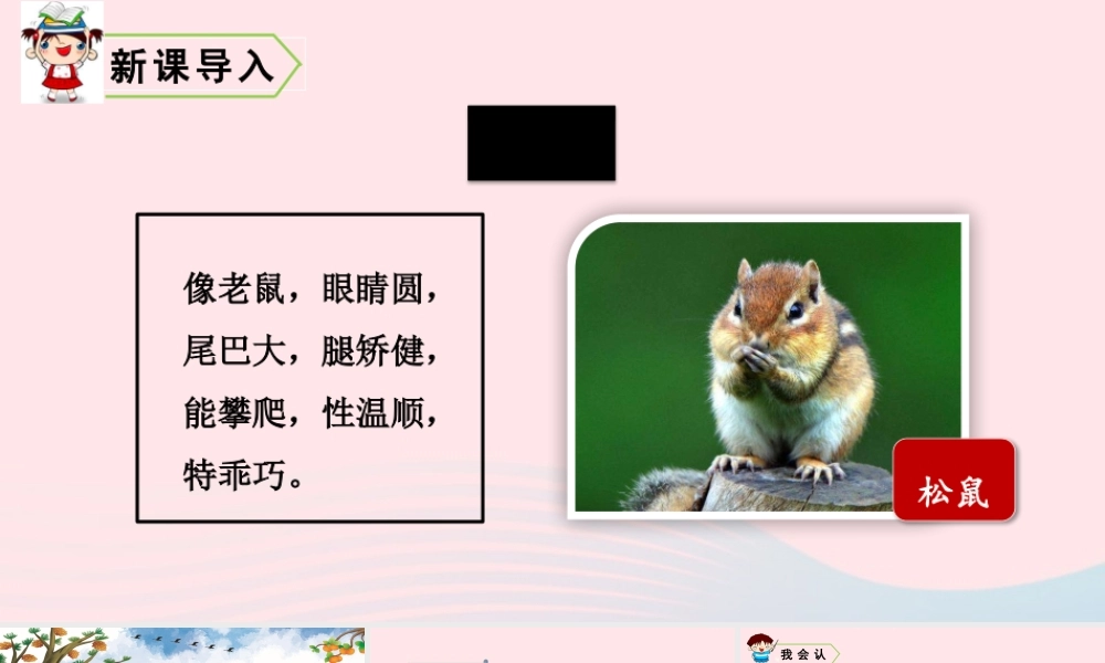 五年级语文上册 第五单元 17 松鼠教学课件 新人教版-新人教版小学五年级上册语文课件
