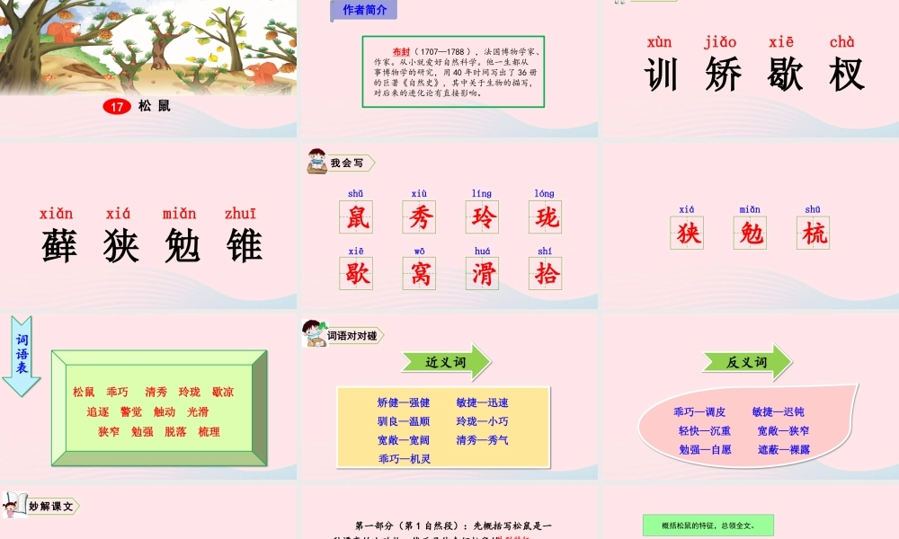 五年级语文上册 第五单元 17 松鼠教学课件 新人教版-新人教版小学五年级上册语文课件