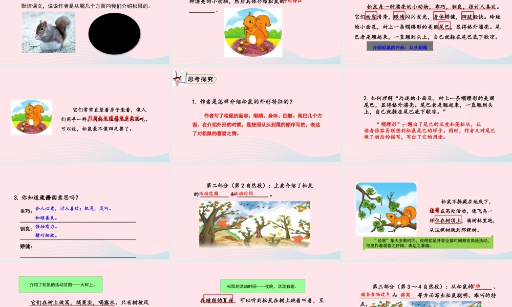 五年级语文上册 第五单元 17 松鼠教学课件 新人教版-新人教版小学五年级上册语文课件