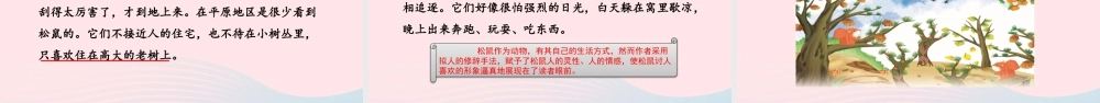 五年级语文上册 第五单元 17 松鼠教学课件 新人教版-新人教版小学五年级上册语文课件