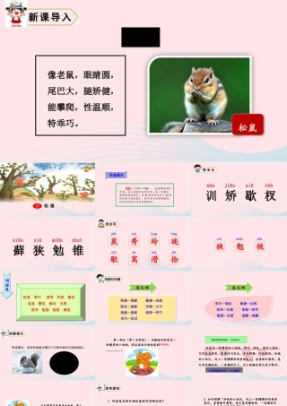 五年级语文上册 第五单元 17 松鼠教学课件 新人教版-新人教版小学五年级上册语文课件