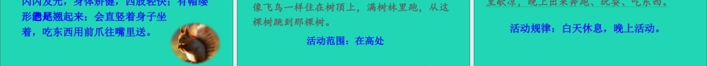五年级语文上册 第五单元 17 松鼠课件